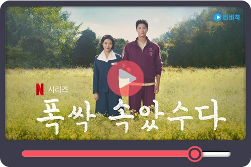 티비착_폭삭속았수다
